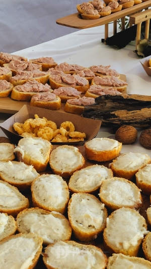  Inaugurazione nuovi rimorchiatori Tripmare S.p.A.