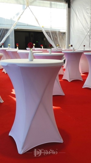  Inaugurazione nuovi rimorchiatori Tripmare S.p.A.